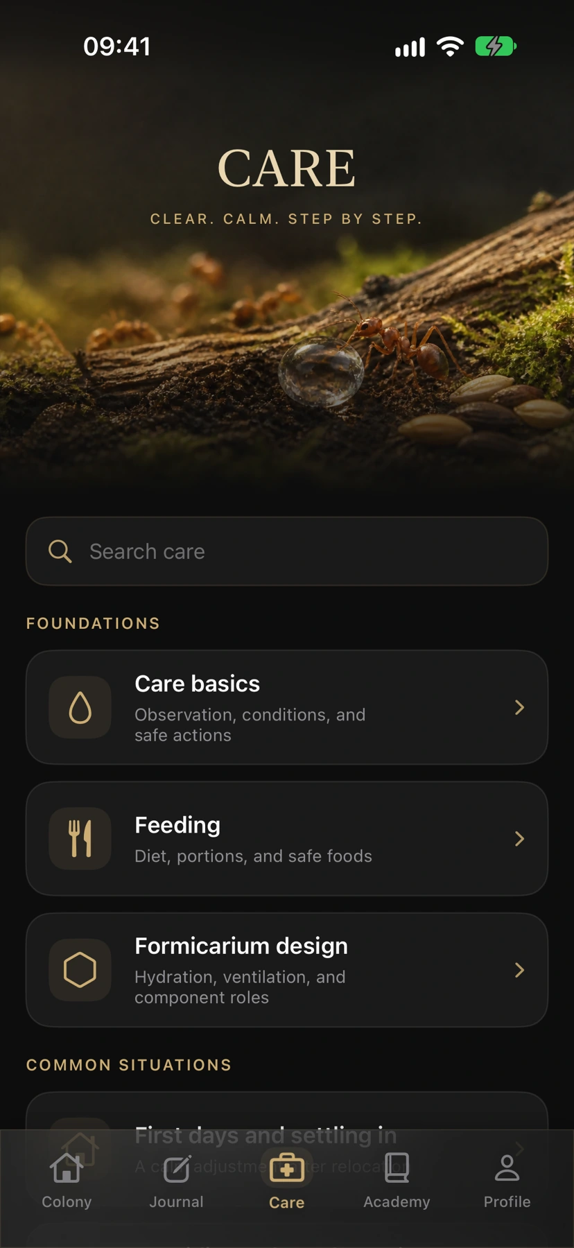 Elorium Care section with organised care guides